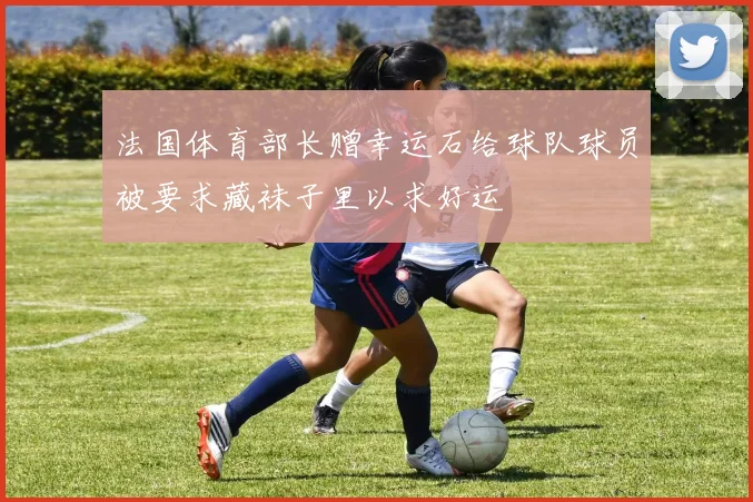 法国体育部长赠幸运石给球队球员被要求藏袜子里以求好运