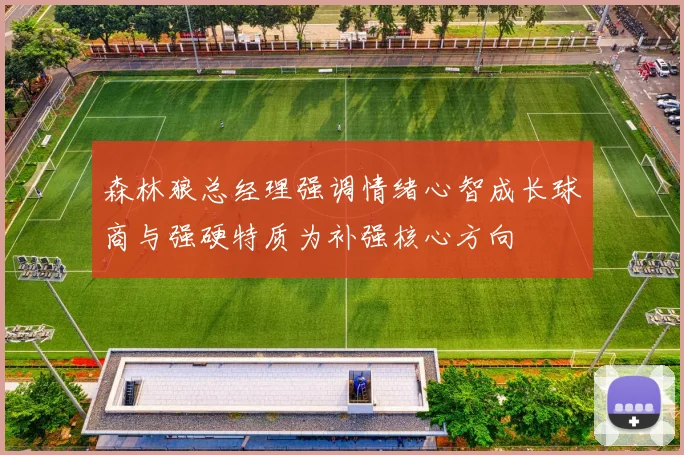 森林狼总经理强调情绪心智成长球商与强硬特质为补强核心方向